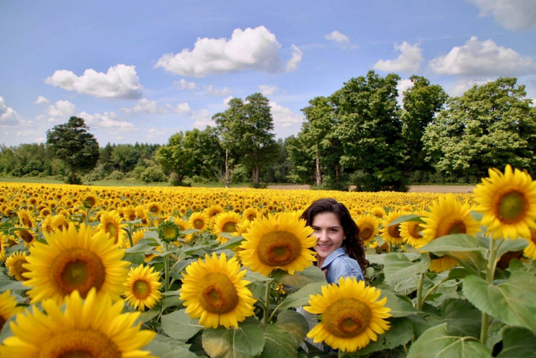 claire in sunflower field landscape.png 2025 6 6 12.53.21